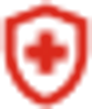 Promotion Icon