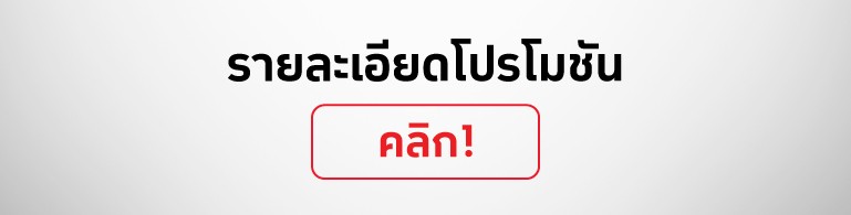 Promotion Banner